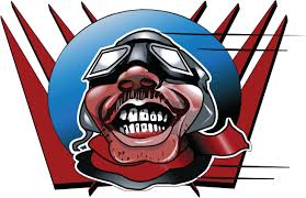 FastEddy Bearings