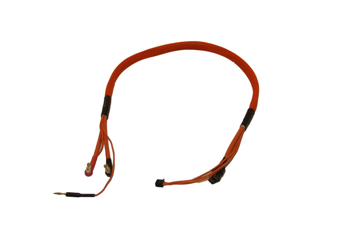 24in (2 foot) 2s LiPo Charging Cable Leads Harness XT60 to 4mm/5mm Bullets - Red image