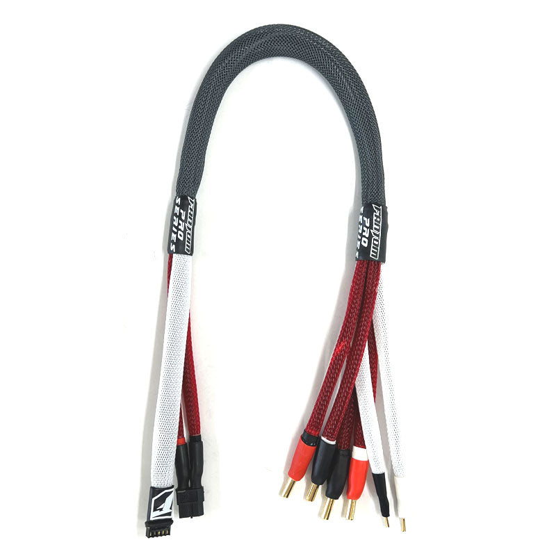 Fantom 2S DUAL Balance Charge Lead XT60 to 5mm Bullet x 2 Battery FAN26149 image 0