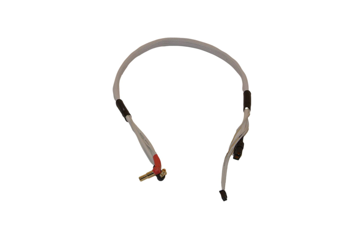24in (2 foot) 2s LiPo Charging Cable Leads Harness XT60 to 4mm/5mm Bullets - White image