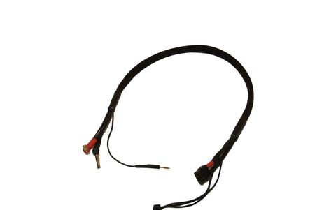 24in (2 foot) 2s LiPo Charging Cable Leads Harness XT60 to 4mm/5mm Bullets - Black image