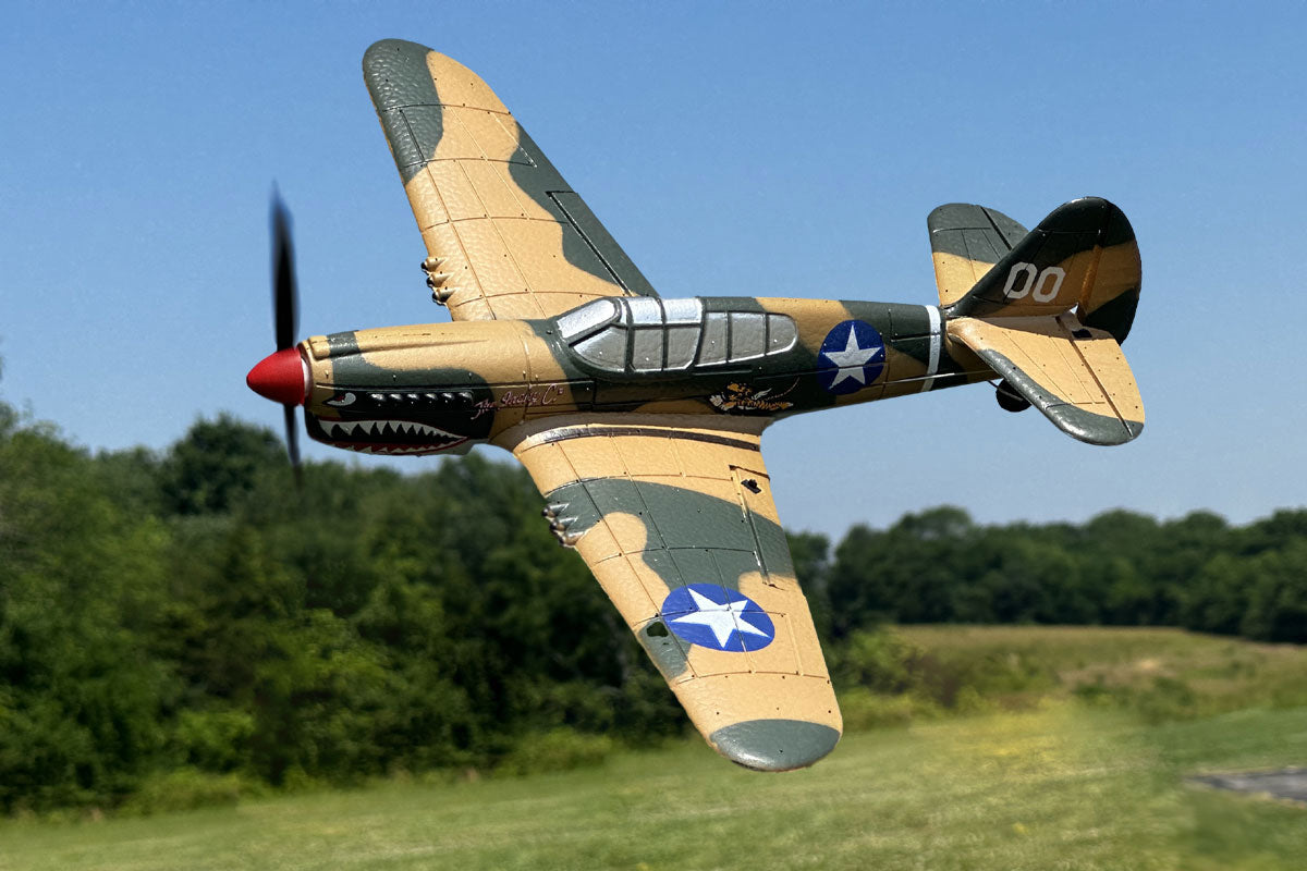 Rage Curtiss P-40 Warhawk Micro RTF Airplane with PASS Stability System 1305 image 1