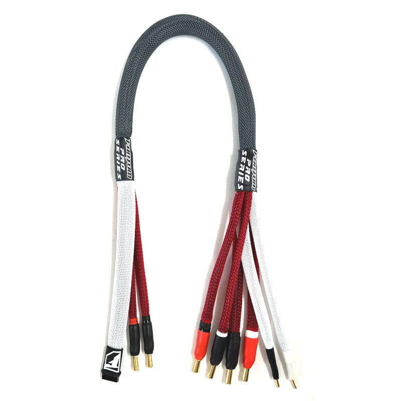 Fantom 2S DUAL Balance Charge Lead 4mm Bullet to 5mm Bullet x 2 Battery FAN26148 image 0